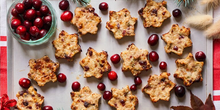 Turkey & Cranberry Stars